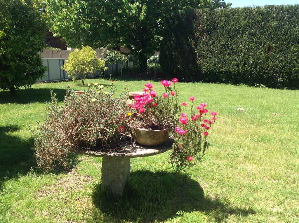 הוילה אמאריס Casa De Romao מראה חיצוני תמונה