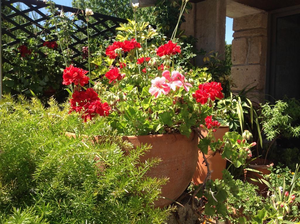 הוילה אמאריס Casa De Romao מראה חיצוני תמונה